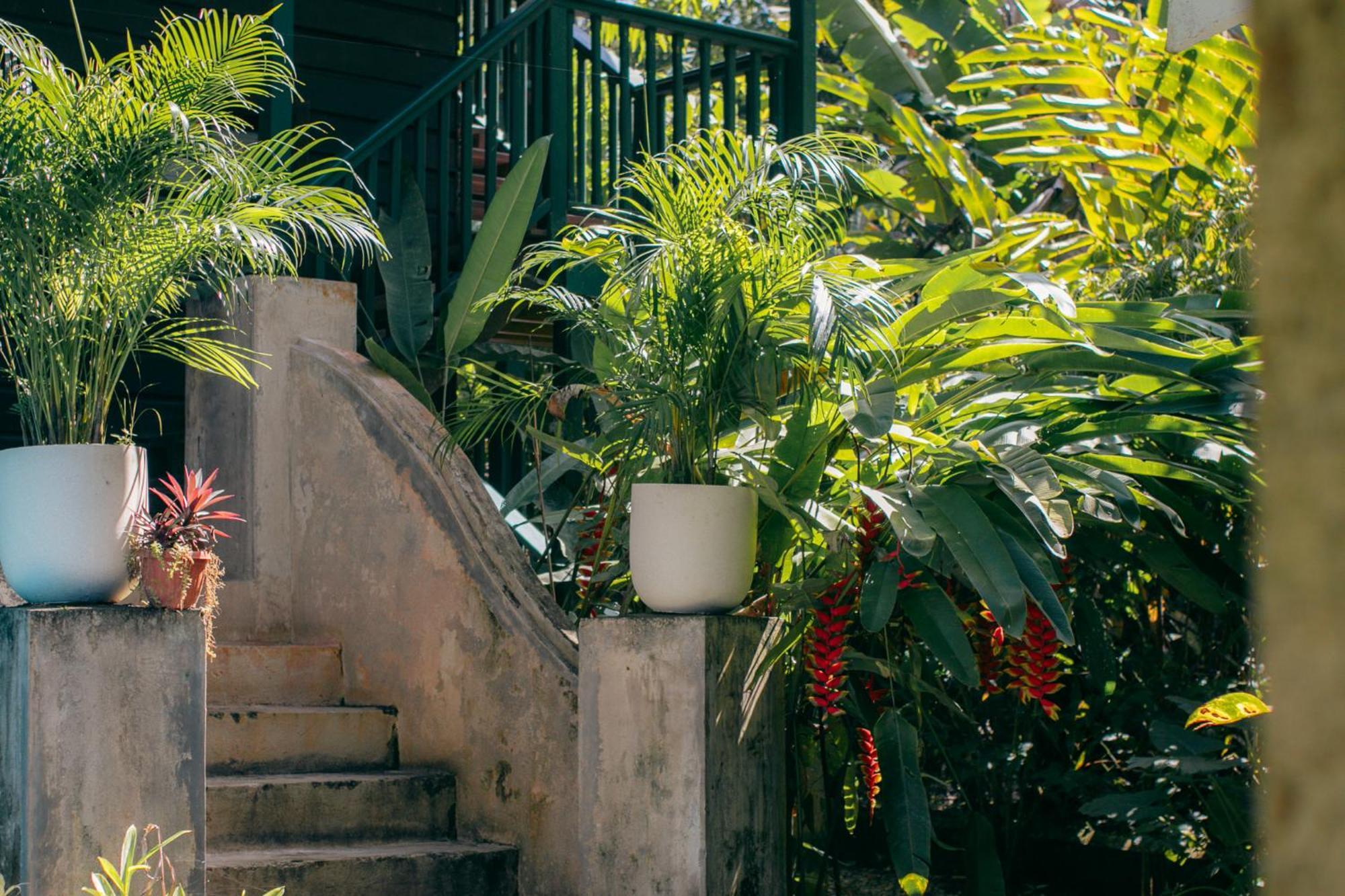 Casa De Mono Bocas Bed & Breakfast Big Creek Ngoại thất bức ảnh