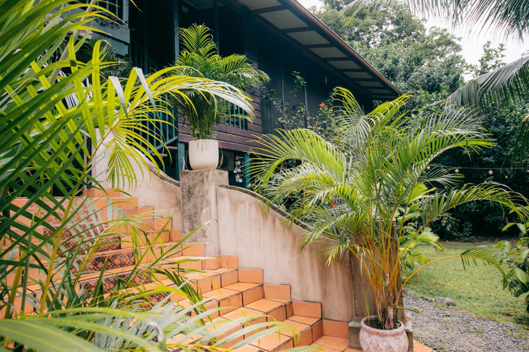 Casa De Mono Bocas Bed & Breakfast Big Creek Ngoại thất bức ảnh